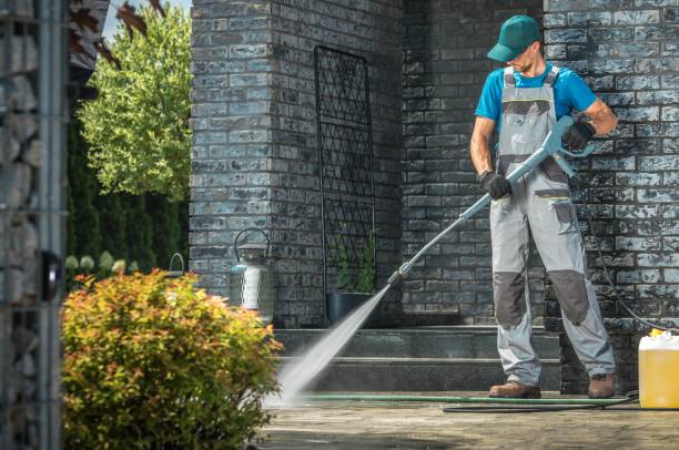 Best Roof Washing  in Fayetteville, AL